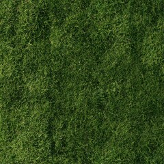 Fototapeta premium Lush green grass texture viewed from above seamless pattern