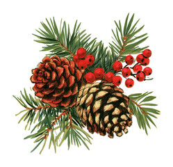 Obraz premium PNG Watercolor pine cones, evergreen needles, red berries festive botanical