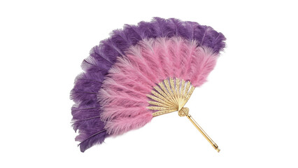 Beautiful pink and purple feather hand fan isolated on transparent background © Hanna