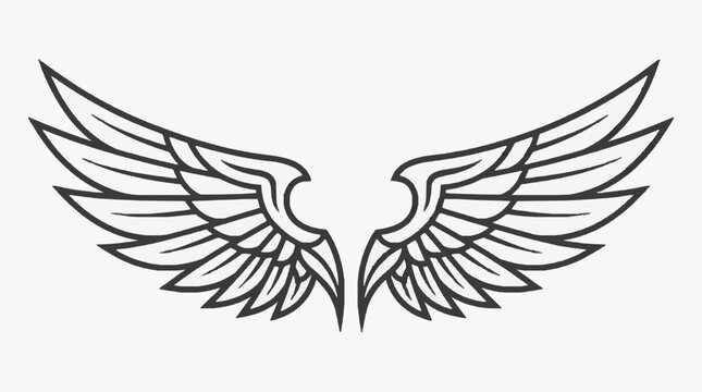 Detailed single wing outline drawing with curved feathers isolated on white background