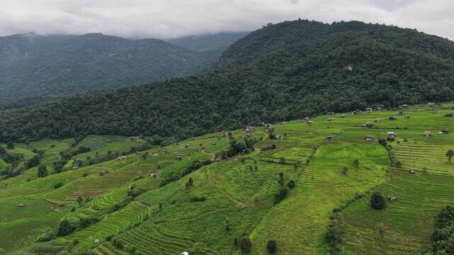 Aerial landscape view of rice terrace in the mountains