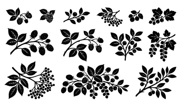 Decorative Berry Branch Silhouettes &ndash; Black and White Botanical Fruit Vector Set