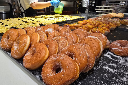Freshly Baked Sugar Donuts Displayed on Metal Trays in Bakery 