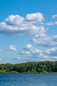 Wald hinter einem See bei leicht bedecktem Himmel