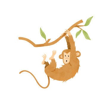 Hand Drawn Cute Monkey Hanging on Tree Branch Isolated on Transparent Background