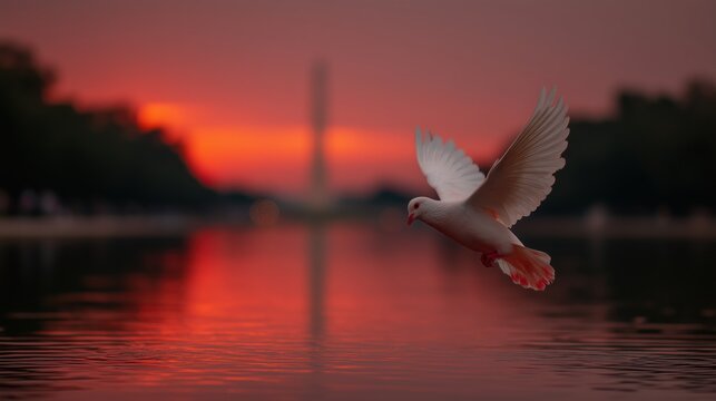 A white dove of freedom flies over the water Happy Martin Luther King Day. I Have a Dream. MLK Day, Dr. King Patriot Day US. High quality