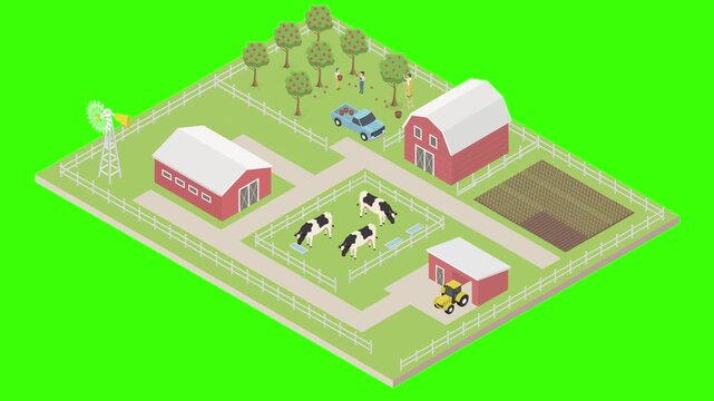 Isometric Farm with Dairy Cattle, Barns, Orchard and Agricultural Fields