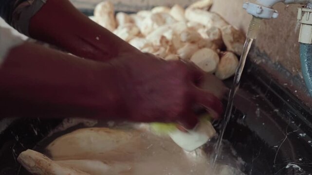A person washing raw cassava root with a brush. Slow motion food preparation