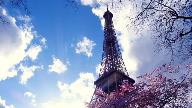 Eiffel Tower with blooming cherry blossoms under a bright blue sky in Paris, France