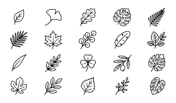 Leaf Vector Illustration Icon Set &ndash; Minimal Line Art Botanical Icons