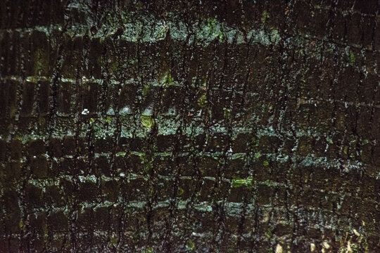 Dark Charred Burnt Wood Bark Texture Background