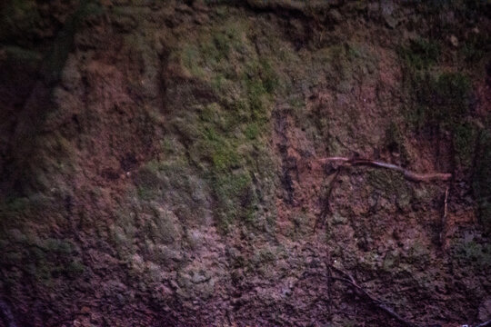 Rough Mossy Earth Wall Texture Background