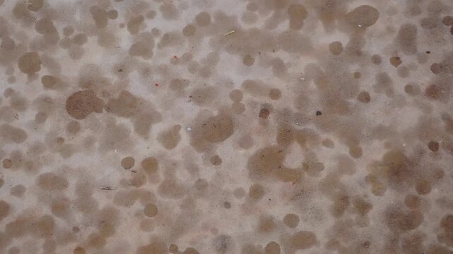 Rain Drops Falling on Dry Tile and Covering the Surface in Time Lapse