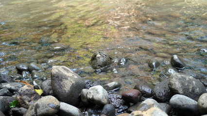 Wet pebbles and rounded rocks at the water's edge, with sunlit ripples shimmering over the shallows. © anungcamui