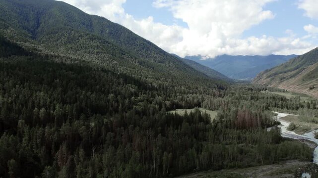 Drone footage of the Ak-Kem valley in the Altai Mountains, Russia, with a winding river, dense taiga forest and green slopes under a bright cloudy sky