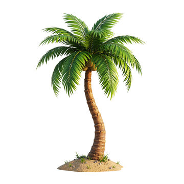 Tropical Palm Coconut Tree on Small Sand Island 3D Render