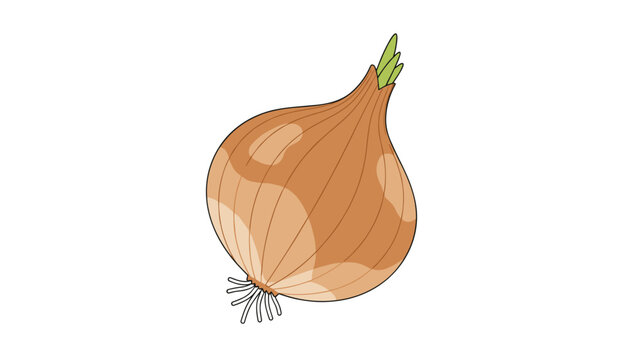 Whole brown onion vegetable with roots and small green sprouts is detailed on a clean white background.