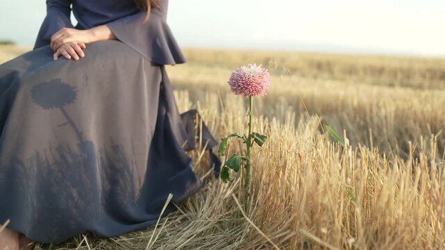 Woman in a long dress sitting in a wheat field next to a pink flower
