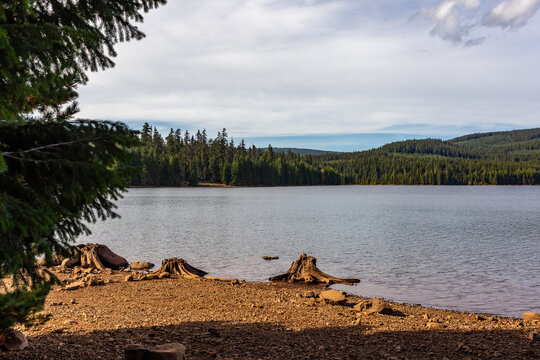 Timothy Lake in Mt. Hood area in Oregon