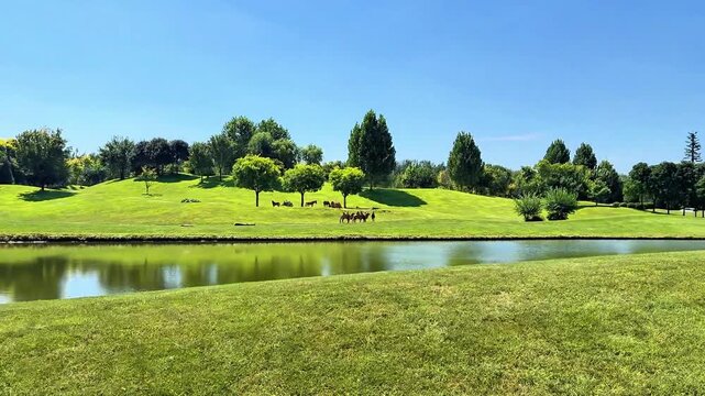Green park landscape with calm pond and rolling hills under clear blue sky
