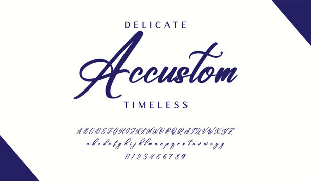 Hand drawn vector alphabet. Modern monoline signature script font. Elegant Signature Font. Best Alphabet Beautiful Calligraphy Signature Font