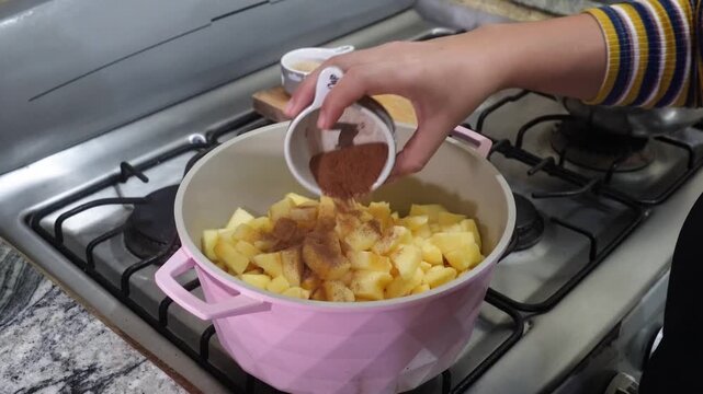 Female Hands Adding Cinnamon and Sugar to Apples for Homemade Jam
