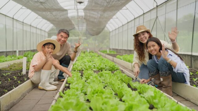 Family smiles beside fresh lettuce rows in a greenhouse. Bright green plants grow in neat, organized beds. They wave cheerfully. Ideal for farming