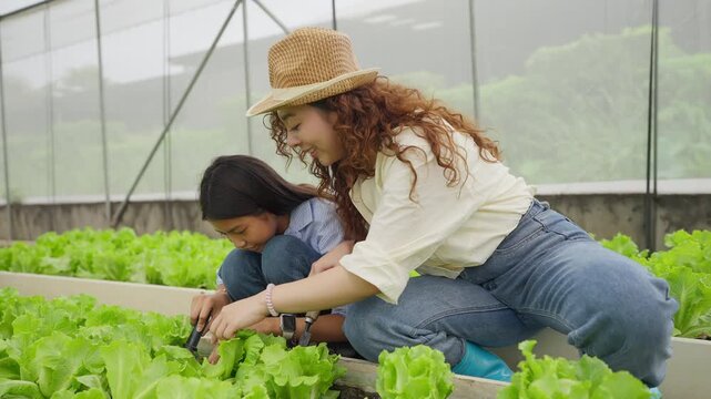Mother and daughter plant together in a greenhouse. They tend to leafy greens with care and focus. Natural light illuminates the growing plants
