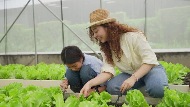 Mother and daughter plant together in a greenhouse. Both kneel beside thriving lettuce plants, hands working soil. Child looks up, curious