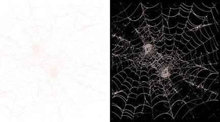 Intricate spider web illustration, realistic cobweb textures on black and white backgrounds, spooky halloween design elements for horror themes © Anamul