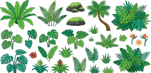 Obraz premium Tropical jungle plant vector set with palm monstera leaves isolated on white background