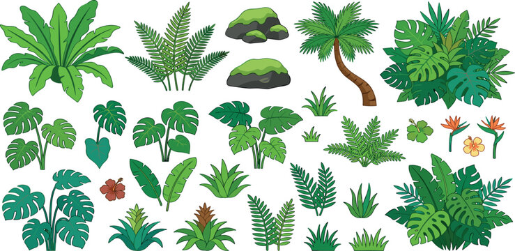 Tropical jungle plant vector set with palm monstera leaves isolated on white background