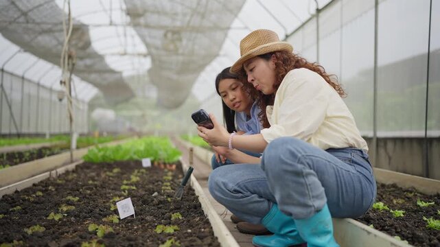 Two women crouch in a greenhouse, focused on a phone. They examine young plants with care, dressed for fieldwork. One smiles