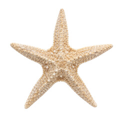 Obraz premium Single dried natural beige starfish with five arms is isolated on a clean white background