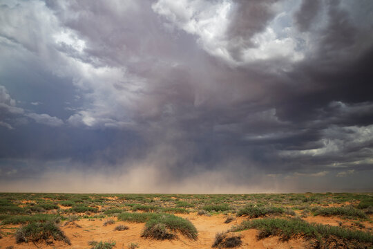 Storm approaching over desert brush landscape in alamogordo