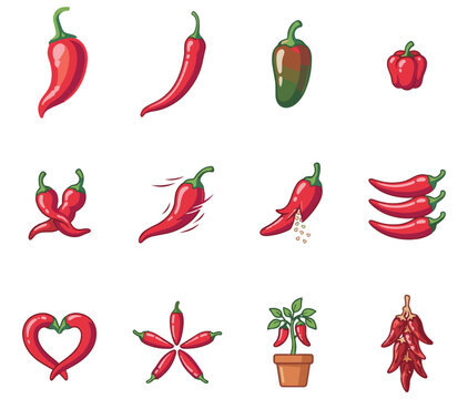 Set of Chili Pepper Vector Illustration Icons