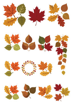 Set of Colorful Autumn Leaves Vector Elements
