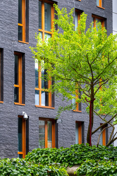 Urban garden with a tree beside a residential facade in Confluence, Lyon, showing greenery integrated throughout contemporary housing.