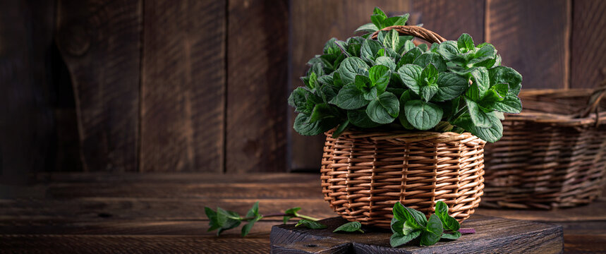 Mint. Bunch of fresh green organic mint leaf on wooden table closeup. Peppermint in small basket on natural wooden background. Banner
