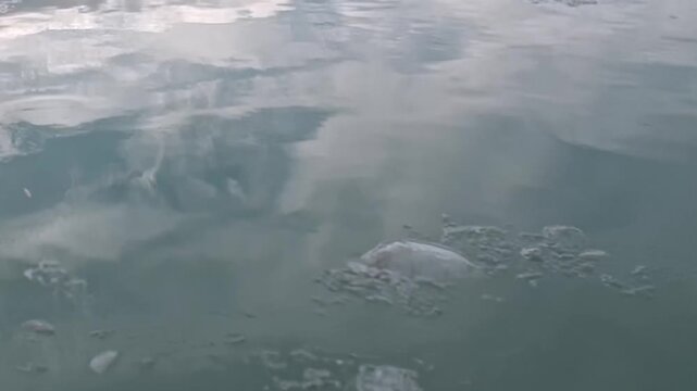 Reflected light and surface ripples move across calm cold water. The broader composition includes surface texture and natural light, keeping surface texture and scale clearly readable.