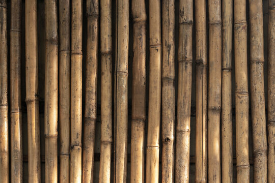 Front view of natural sunlit bamboo fence panels showing vertical stalks, knots and warm wood texture ideal for rustic decor, tropical themes, backgrounds, and architectural, landscape design projects