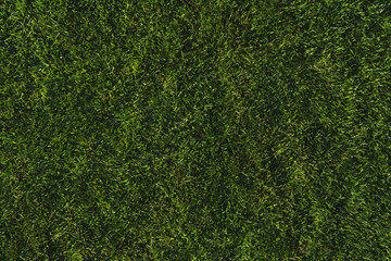 Obraz premium green grass texture - well-groomed turf in the garden, NO AI.