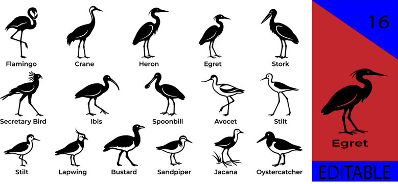 Black wading shorebirds silhouette bundle flamingo crane heron egret stork ibis spoonbill avocet stilt lapwing bustard sandpiper jacana editable vector
