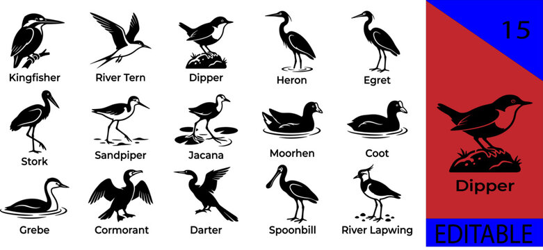 Black freshwater wetland waterbirds silhouette bundle kingfisher river tern dipper heron egret stork sandpiper jacana moorhen coot grebe cormorant editable