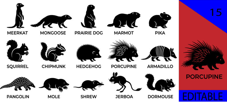 Black small burrow mammals silhouette bundle meerkat mongoose prairie dog marmot pika squirrel chipmunk hedgehog porcupine armadillo pangolin editable vector