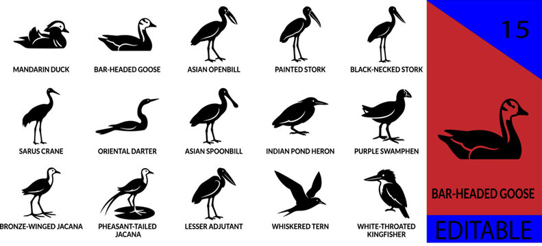 Black waterbirds silhouette bundle mandarin duck bar-headed goose asian openbill painted stork sarus crane darter spoonbill jacana adjutant editable vector