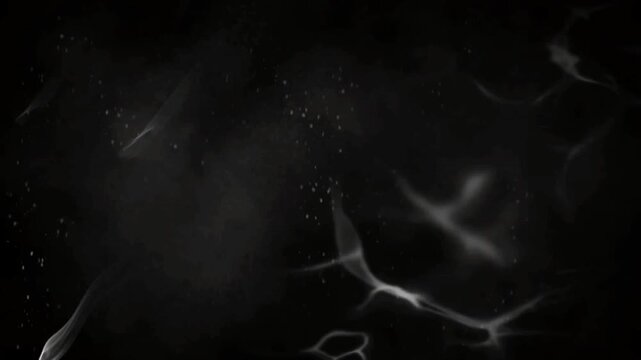 Rapidly changing white scratches and rough grunge textures on a transparent background. Animated distressed overlay for vintage film effects and video compositing
