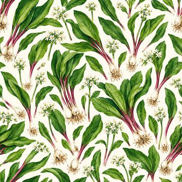 Watercolor seamless botanical pattern of wild leeks, ramps, bulbs, and white flowers