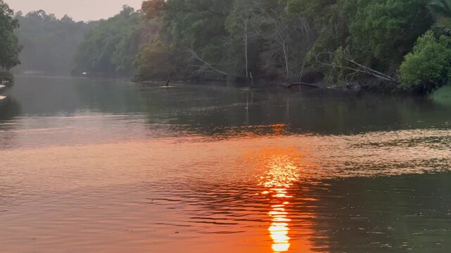 Golden Sunlight Reflecting on a Sundarbans Mangrove Waterway, Bangladesh