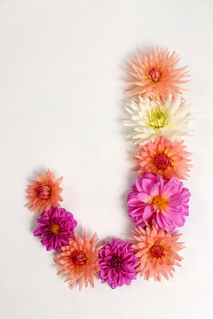 Letter J created from real, fresh dahlia flowers. Floral typography concept, floral font with colorful, vibrant flowers,A unique collection of letters and numbers for design. 